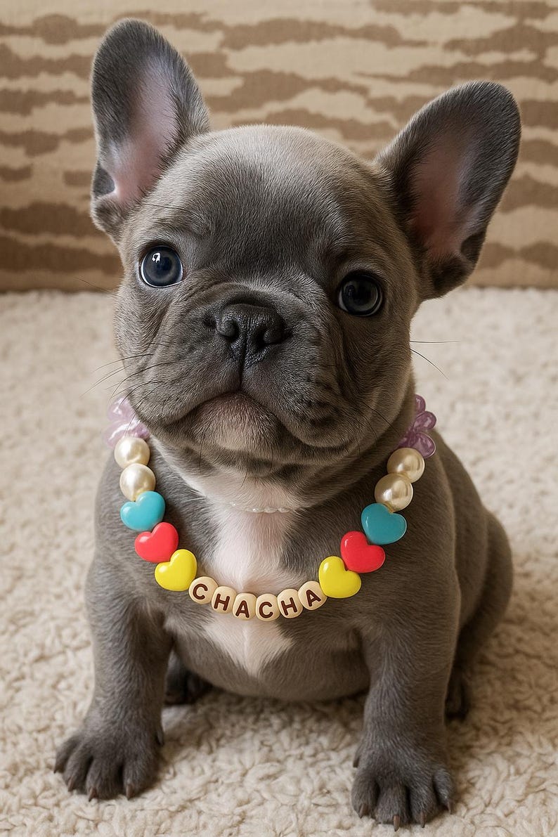 Custom Dog Name Bracelet 🐾 – Personalized Pet Jewelry for Dog Lovers