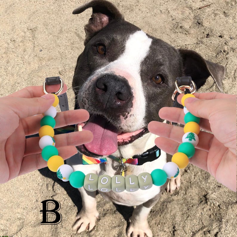 Custom Dog Name Bracelet 🐾 – Personalized Pet Jewelry for Dog Lovers